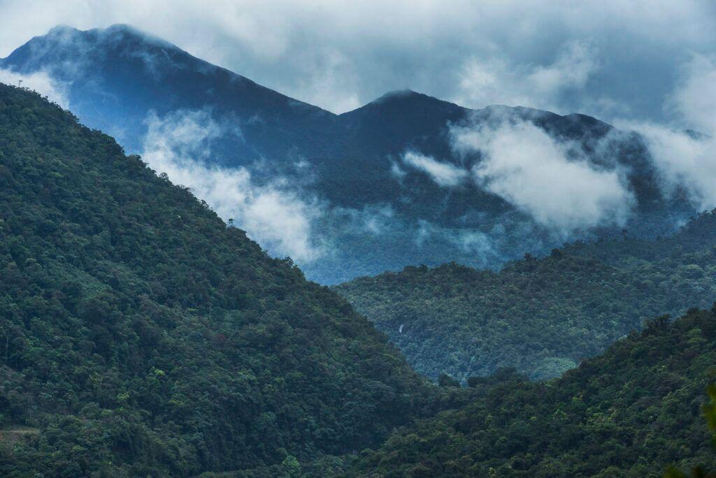 Keo Seima Wildlife Sanctuary.jpg