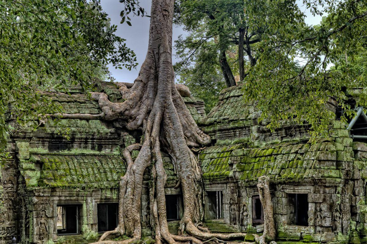 Ta Prom Temple.jpg